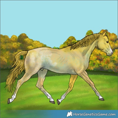Horse Color:Watercolor Liver Chestnut Ice 