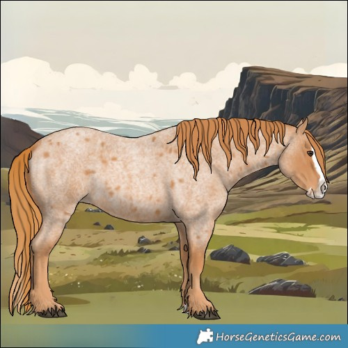 Horse Color:Red Roan Splash