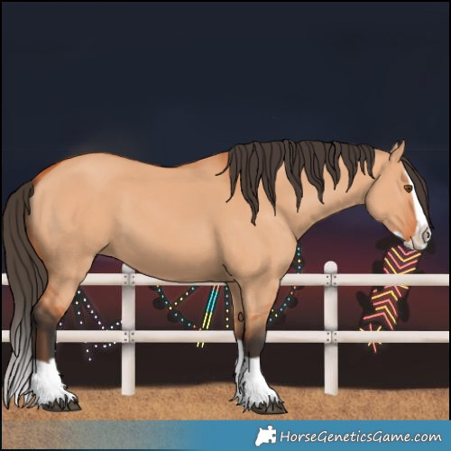 Horse Color:Bay Dun Splash
