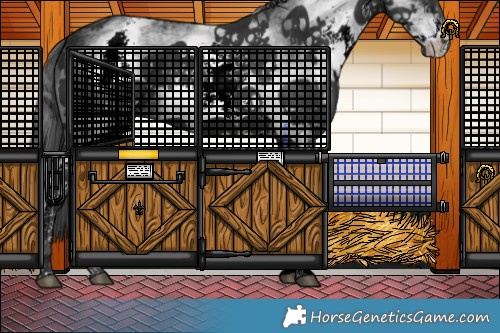 Horse Color:White Spotted Black Sabino