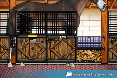 Horse Color:Bay Sabino