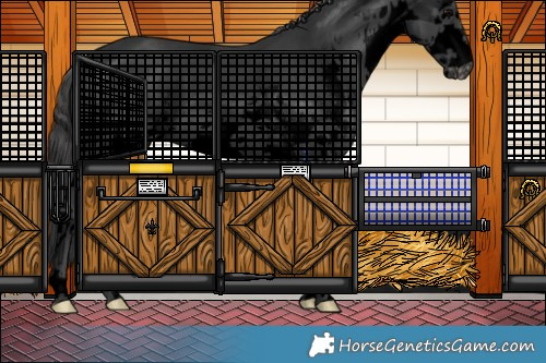Horse Color:Void Black Sabino Splash Varnish 