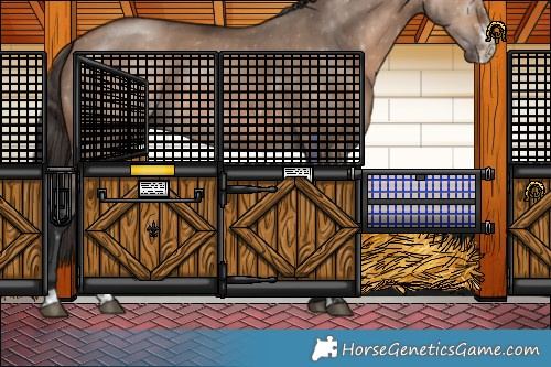 Horse Color:Bay Dun Sabino