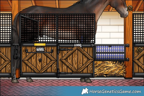 Horse Color:Bay Sabino