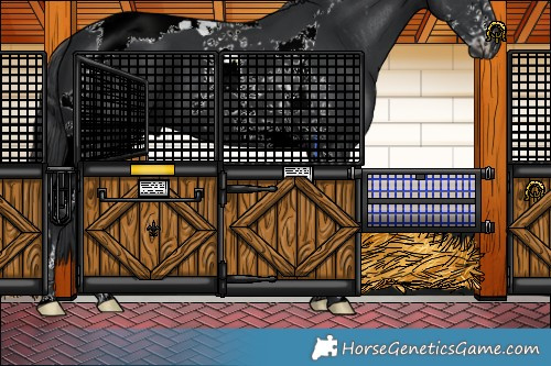 Horse Color:Black Sabino Tobiano 