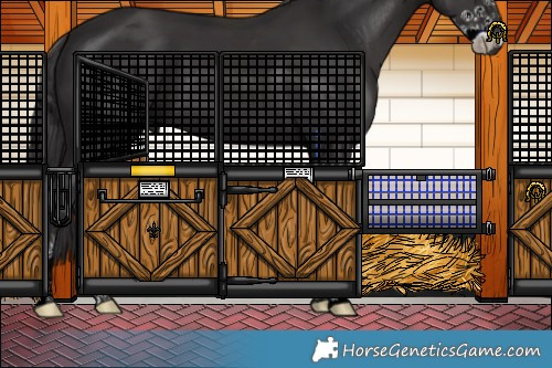 Horse Color:Smoky Black Sabino 