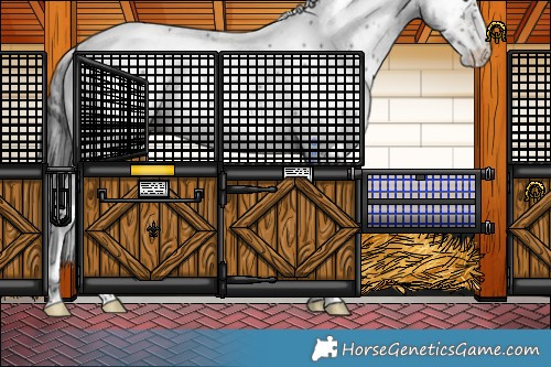 Horse Color:Brown Sabino