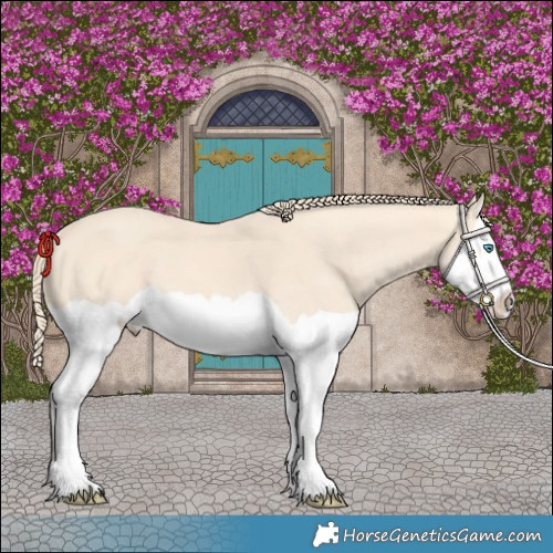 Horse Color:Perlino Splash and Perlino Splash