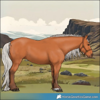 Horse Color:Silver Bay