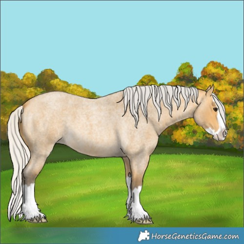 Horse Color:Silver Buckskin Roan Splash