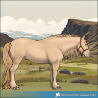 Horse Color:Gold Champagne 