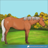 Horse Color:Silver Bay 
