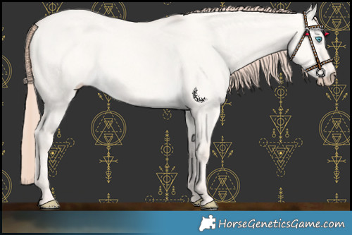 Horse Color:Smoky Creme Dun 