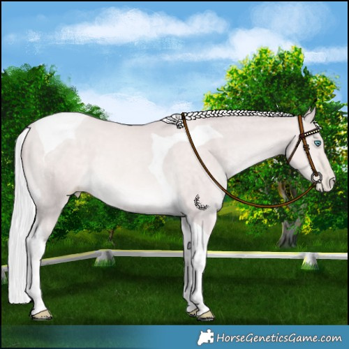 Horse Color:Platinum Silver Bay Tobiano