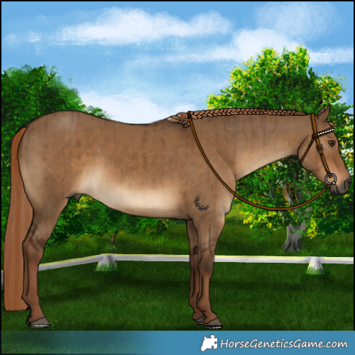 Horse Color:Gray Liver Red Dun Brindle