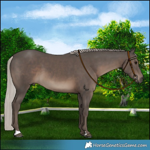 Horse Color:Silver Black