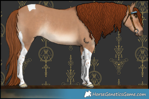 Horse Color:Red Dun Tobiano Rabicano