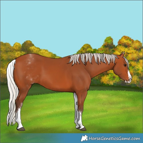 Horse Color:White Spotted Silver Bay Splash