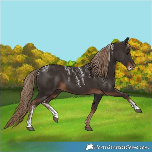 Horse Color:Powder White Liver Chestnut