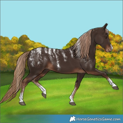 Horse Color:Powder White Liver Chestnut 