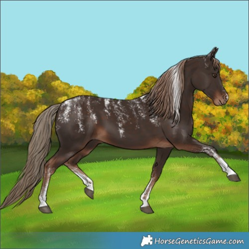 Horse Color:Powder White Liver Chestnut 