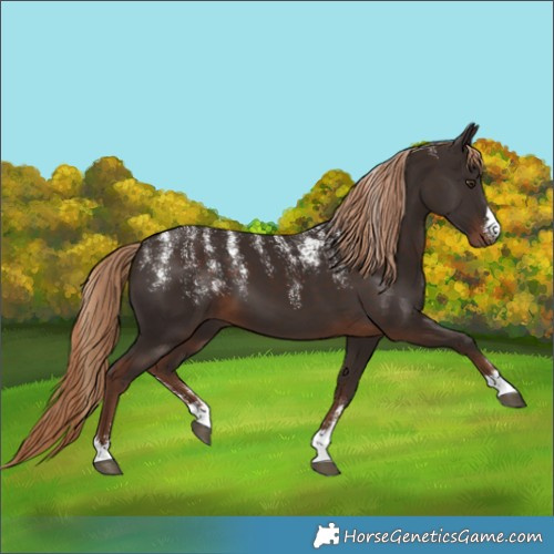 Horse Color:Powder White Liver Chestnut