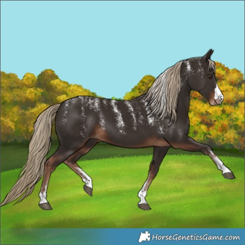 Horse Color:Powder White Liver Chestnut