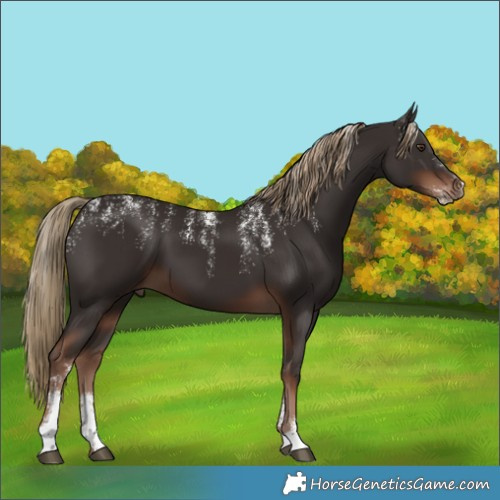 Horse Color:Powder White Liver Chestnut
