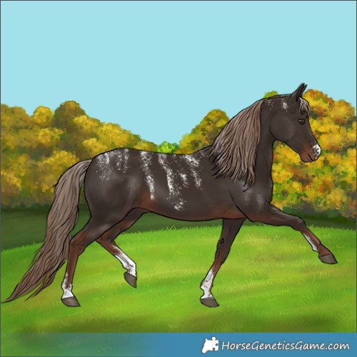 Horse Color:Powder White Liver Chestnut