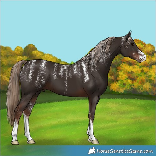 Horse Color:Powder White Liver Chestnut 