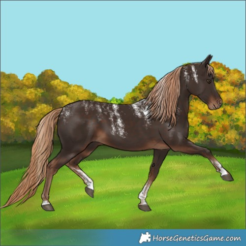 Horse Color:Powder White Liver Chestnut 