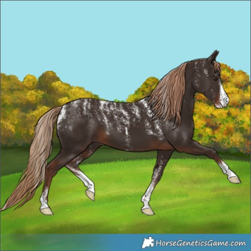 Horse Color:Powder White Liver Chestnut