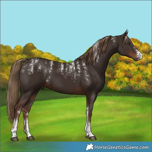 Horse Color:Powder White Liver Chestnut