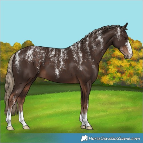 Horse Color:Powder White Liver Chestnut