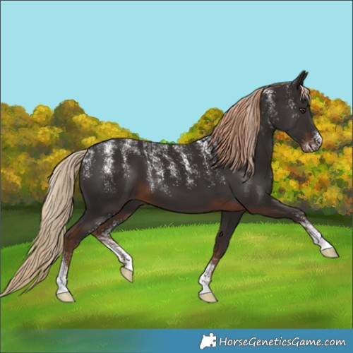 Horse Color:Powder White Liver Chestnut