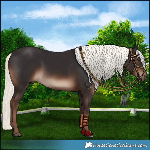Horse Color:Liver Chestnut Mushroom