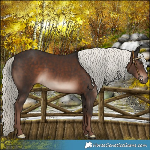 Horse Color:Liver Chestnut Mushroom