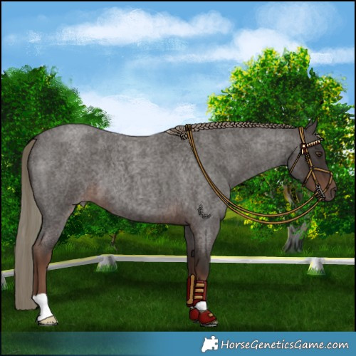 Horse Color:Liver Red Roan Mushroom 