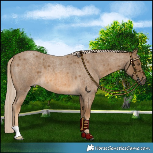 Horse Color:Chocolate Palomino Roan Mushroom 