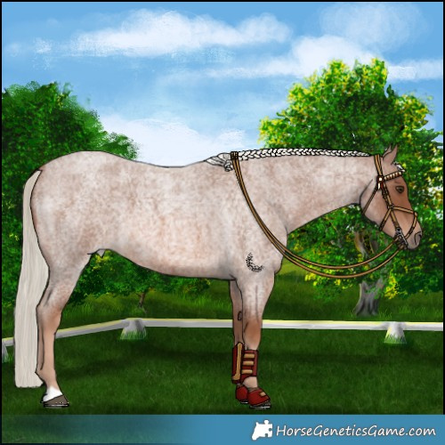 Horse Color:Red Roan Mushroom 
