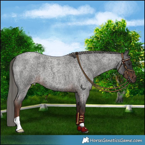 Horse Color:Liver Red Roan Mushroom 