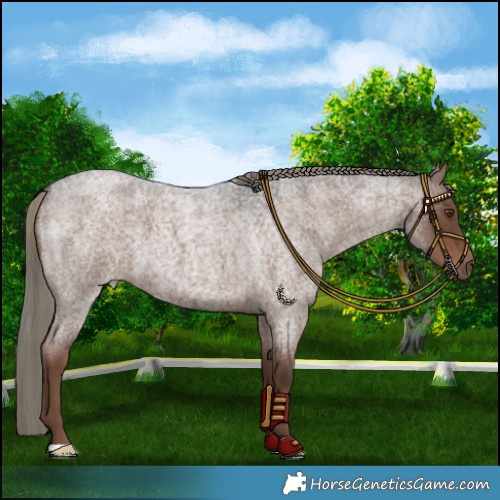 Horse Color:Liver Red Roan Mushroom