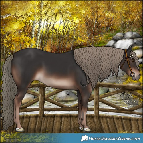 Horse Color:Liver Chestnut Mushroom 