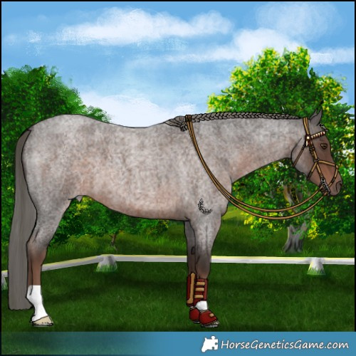 Horse Color:Liver Red Roan Mushroom 