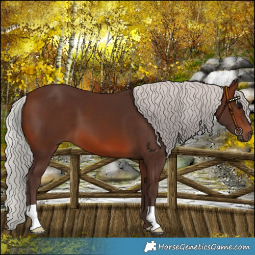 Horse Color:Silver Brown Mushroom