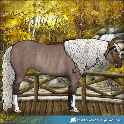 Horse Color:Liver Red Dun Mushroom Rabicano