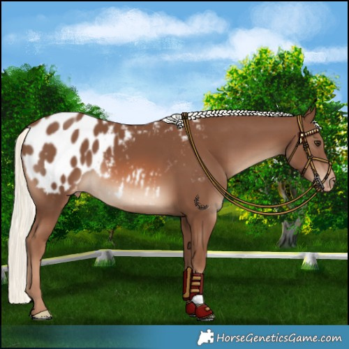Horse Color:Chestnut Mushroom Blanket