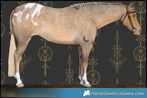 Horse Color:Chocolate Palomino Roan Mushroom Varnish 