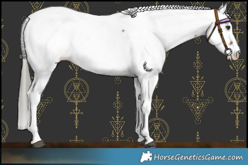 Horse Color:Liver Chestnut Mushroom Fewspot
