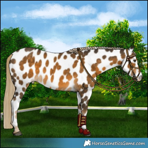 Horse Color:Chocolate Palomino Mushroom Near Leopard